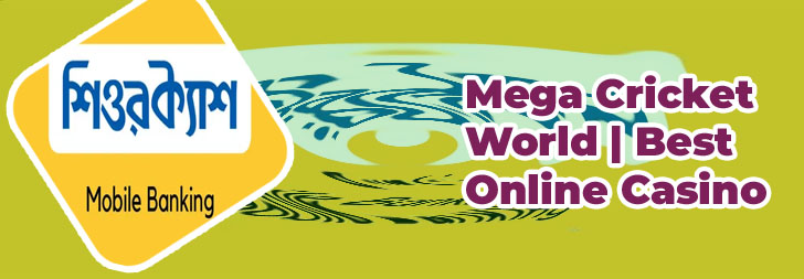 Baji bet website login Bangladesh