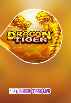 Dragon tiger live casino