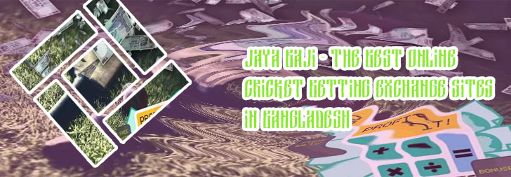 How to bet on baji bet online